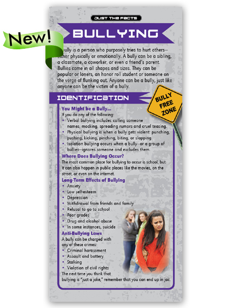 Just the Facts Rack Card: Bullying
