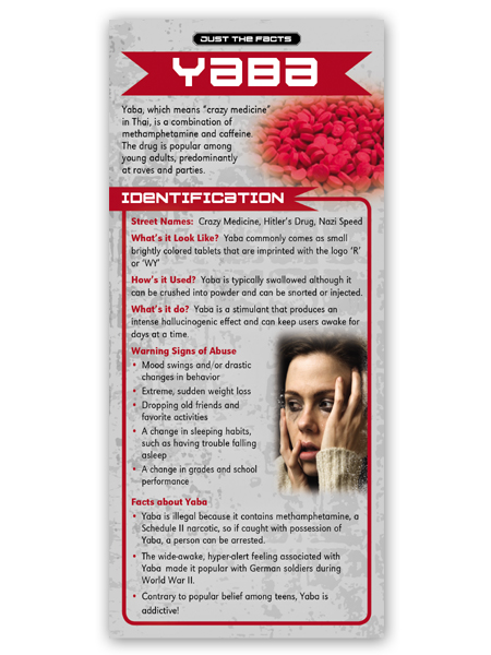 Just the Facts Rack Card: Yaba