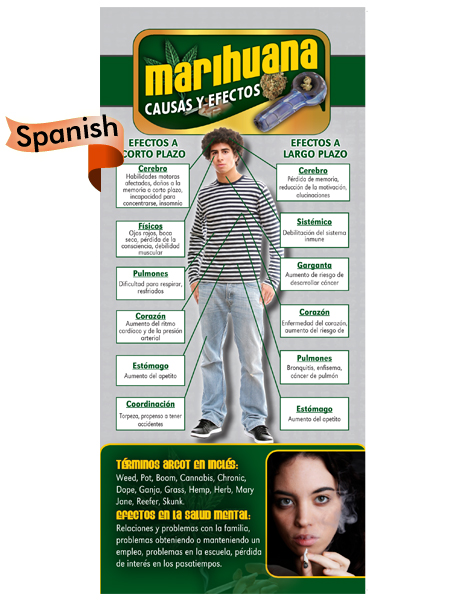 *SPANISH* Cause & Effect Rack Card: Marijuana