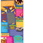 BAN-SS-53-Amphetamines-NEW-FLAG-LADY