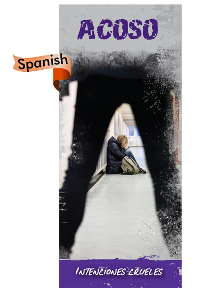 *SPANISH* Bullying: Cruel Intentions Pamphlet