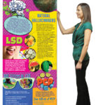 BAN-SSDA-15-Hallucinogens-NEW-FLAG&LADY