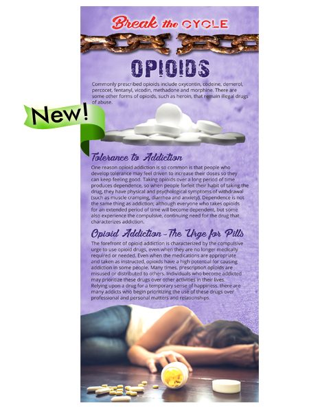 Break the Cycle Rack Card: Opioid Abuse