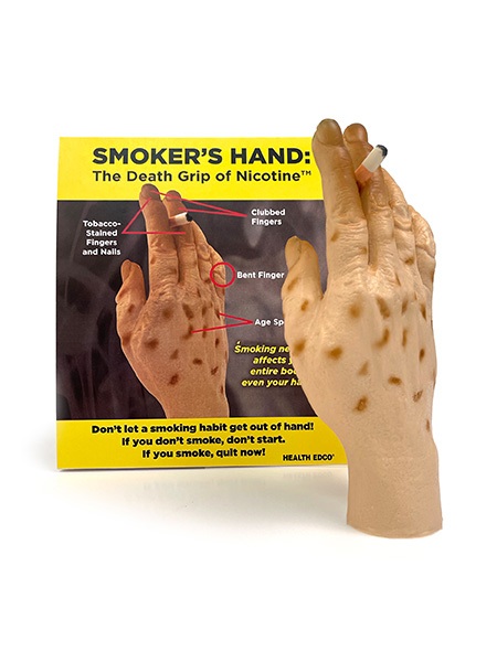 Smoker's Hand: The Death Grip of Nicotine Model