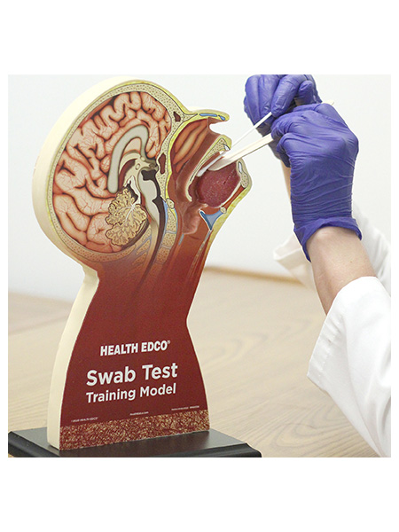 78034 Swab Test Training Model WEB FILE