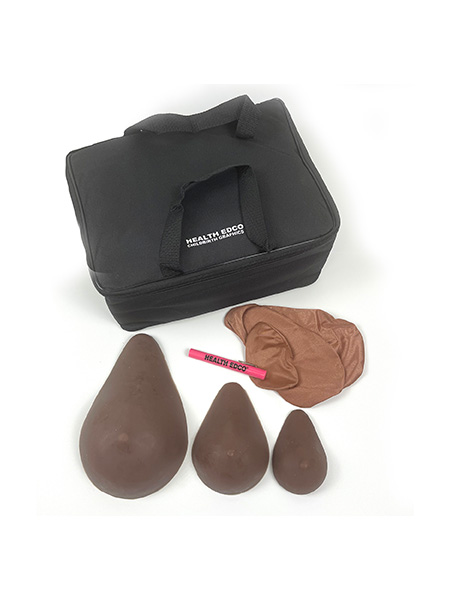 ABC Cup Breast Self Examination Model Set (Brown)